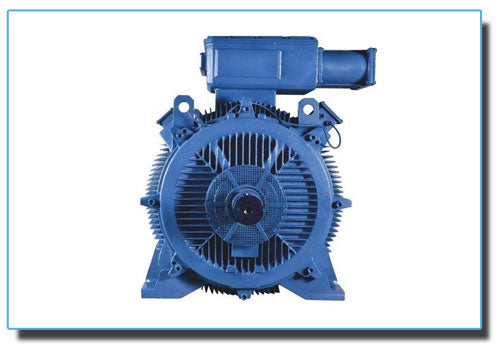 Bharat Bijlee DC Motor 0.5 HP with Soft Starter