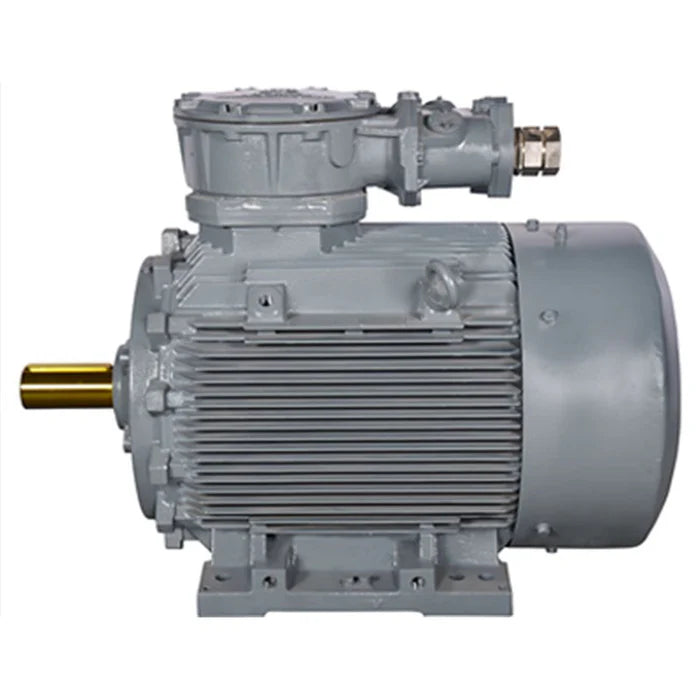 Bharat Bijlee DC Motor 0.5 HP with Soft Starter