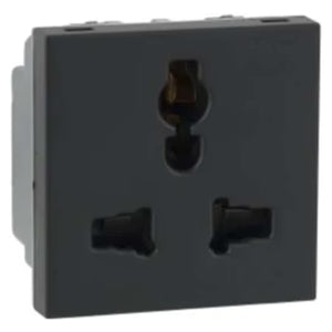 Schneider 4-Pin Socket