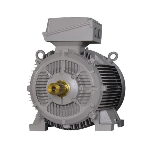 Siemens	Servo Motor 0.5 HP with Soft Starter