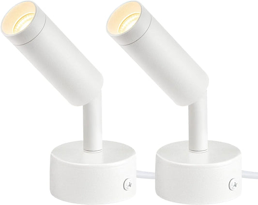 LED Plastic Accent Light