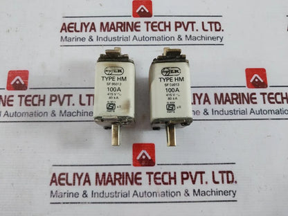 L&T Thermal Fuse 250V