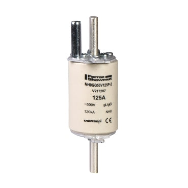 Schneider Blade Fuse 250V