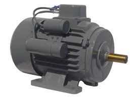 L&T Induction Motor
